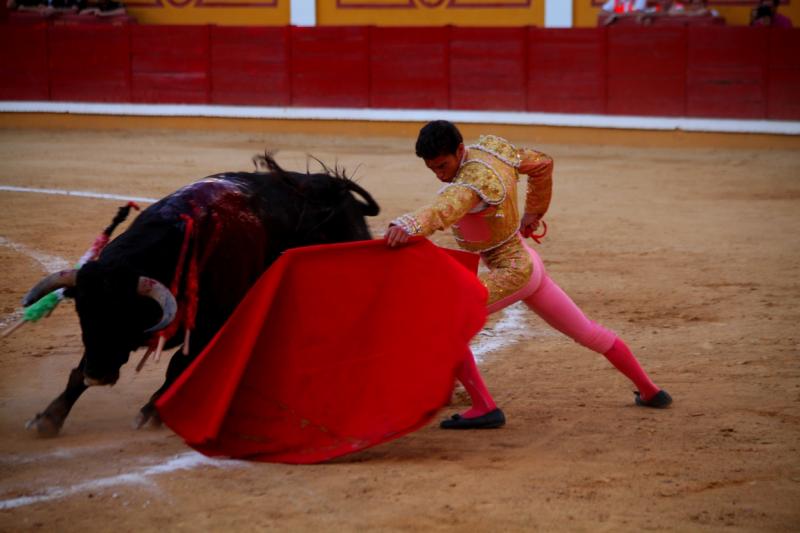 Imágenes de la novillada de la Feria Taurina de Badajoz 2013