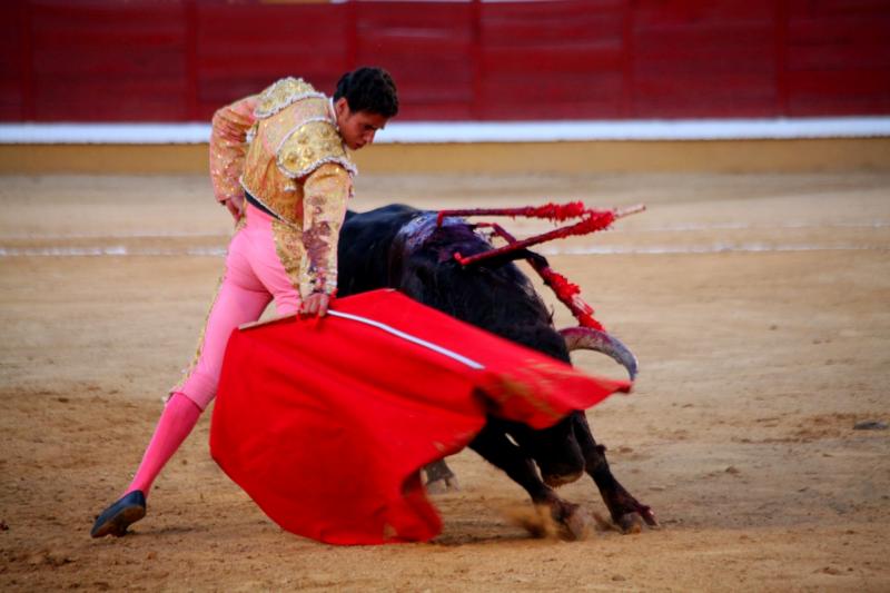 Imágenes de la novillada de la Feria Taurina de Badajoz 2013