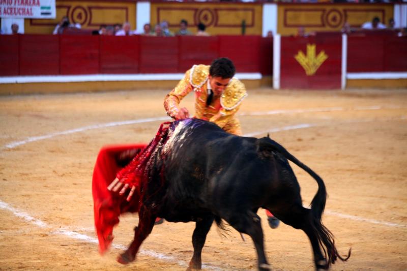 Imágenes de la novillada de la Feria Taurina de Badajoz 2013