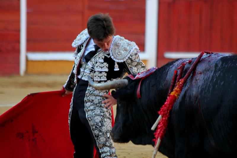 Imágenes de la corrida de El Juli, Manzanares y Ferrera en Badajoz