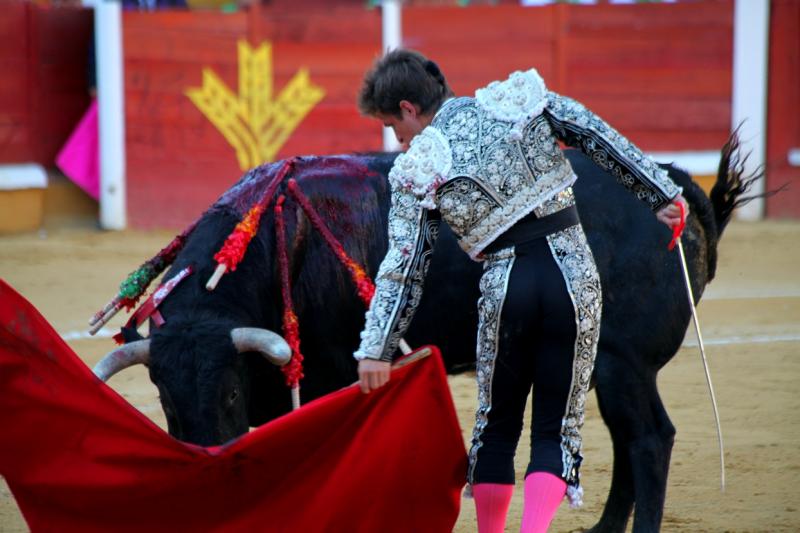 Imágenes de la corrida de El Juli, Manzanares y Ferrera en Badajoz