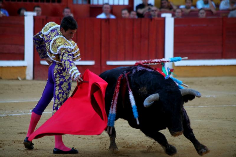 Imágenes de la corrida de El Juli, Manzanares y Ferrera en Badajoz