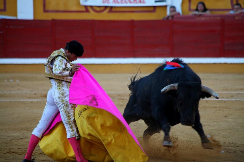 Imágenes de la corrida de El Juli, Manzanares y Ferrera en Badajoz