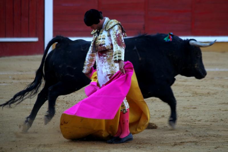 Imágenes de la corrida de El Juli, Manzanares y Ferrera en Badajoz