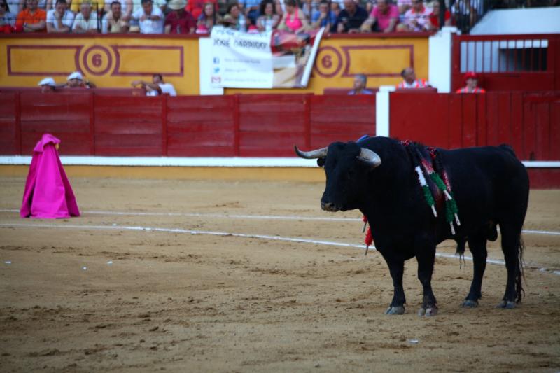 Imágenes de la corrida de El Juli, Manzanares y Ferrera en Badajoz