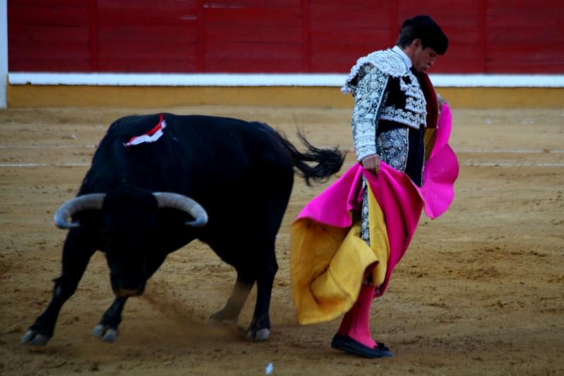 Imágenes de la corrida de El Juli, Manzanares y Ferrera en Badajoz