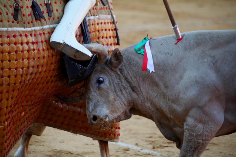 Imágenes de la corrida de Talavante, Perera y Morante en Badajoz