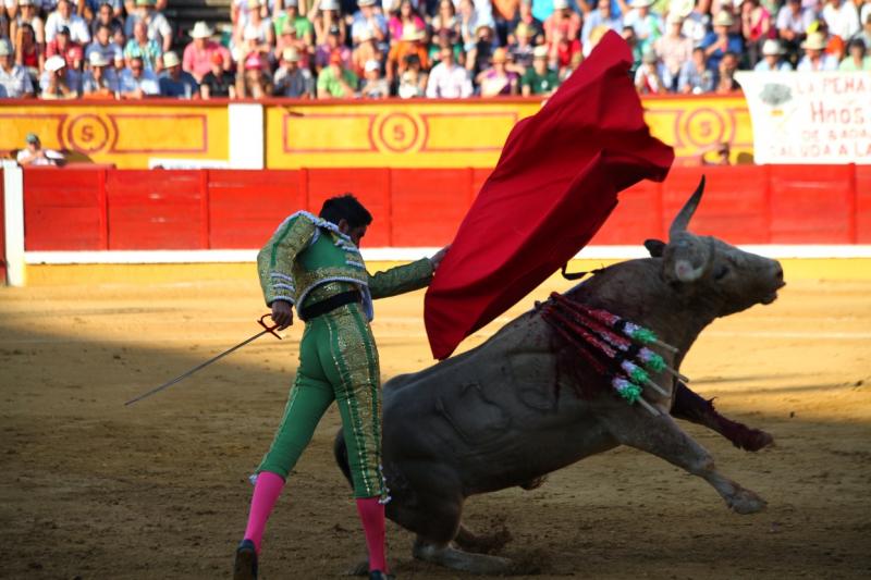 Imágenes de la corrida de Talavante, Perera y Morante en Badajoz Imágenes de la corrida de Talavante, Perera y Morante en Badajoz