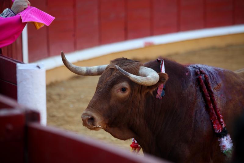 Imágenes de la corrida de Talavante, Perera y Morante en Badajoz