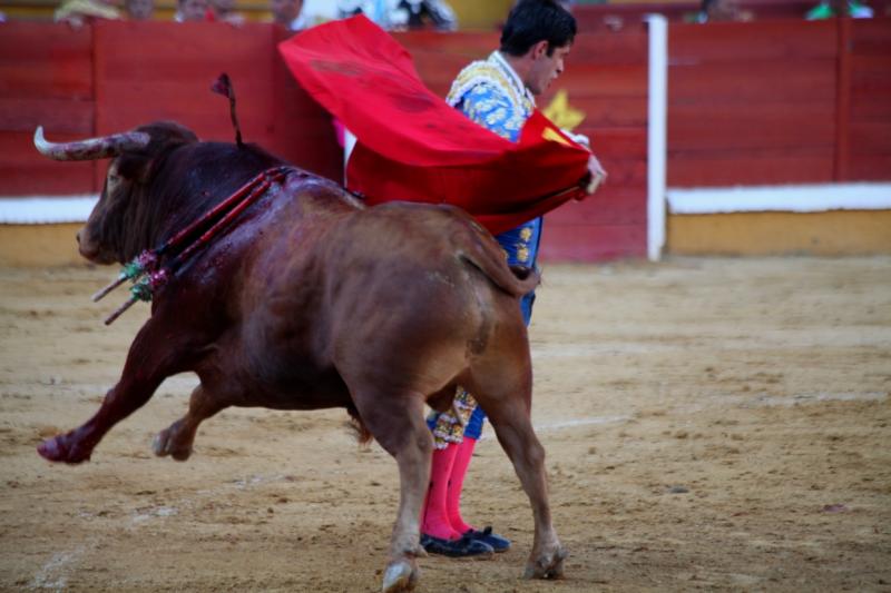 Imágenes de la corrida de Talavante, Perera y Morante en Badajoz Imágenes de la corrida de Talavante, Perera y Morante en Badajoz
