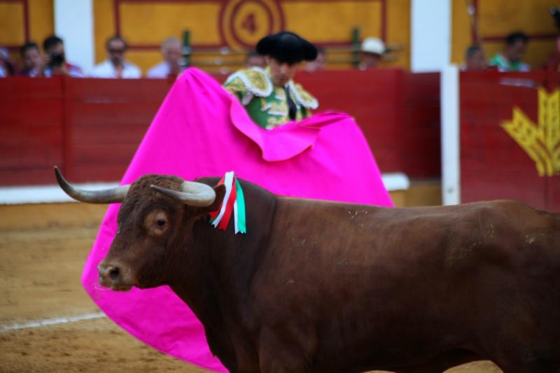 Imágenes de la corrida de Talavante, Perera y Morante en Badajoz