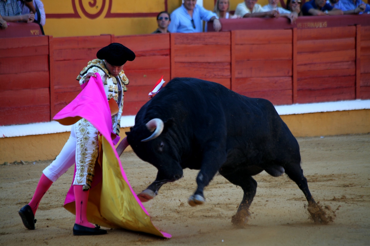 Imágenes de la corrida de El Juli, Manzanares y Ferrera en Badajoz