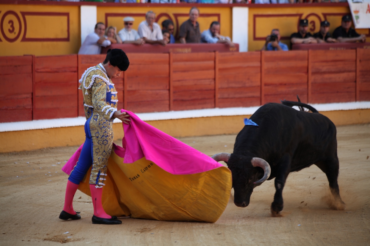 Imágenes de la novillada de la Feria Taurina de Badajoz 2013