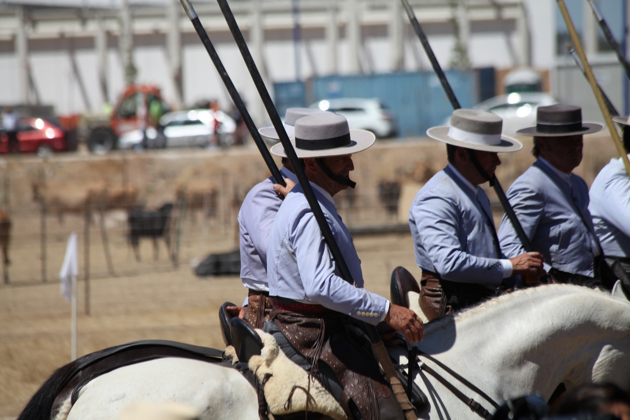 Concurso Nacional de Acoso y Derribo en Badajoz