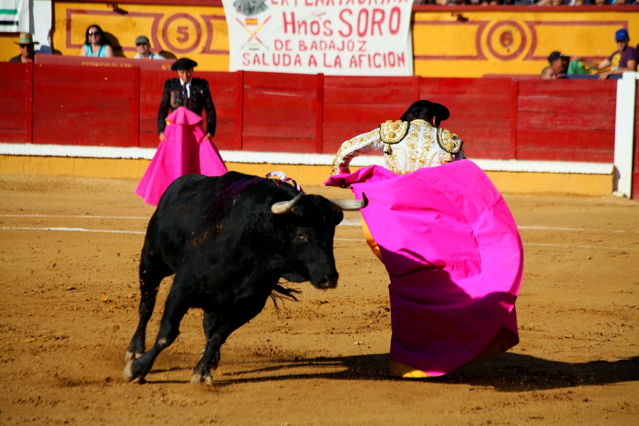 Imágenes de la corrida de El Juli, Manzanares y Ferrera en Badajoz