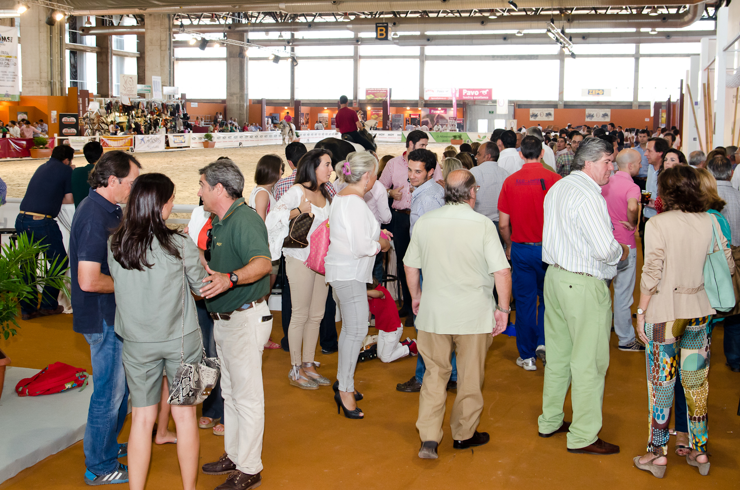Continúa la actividad de la Feria del Toro y el Caballo Ecuextre 2013 Badajoz