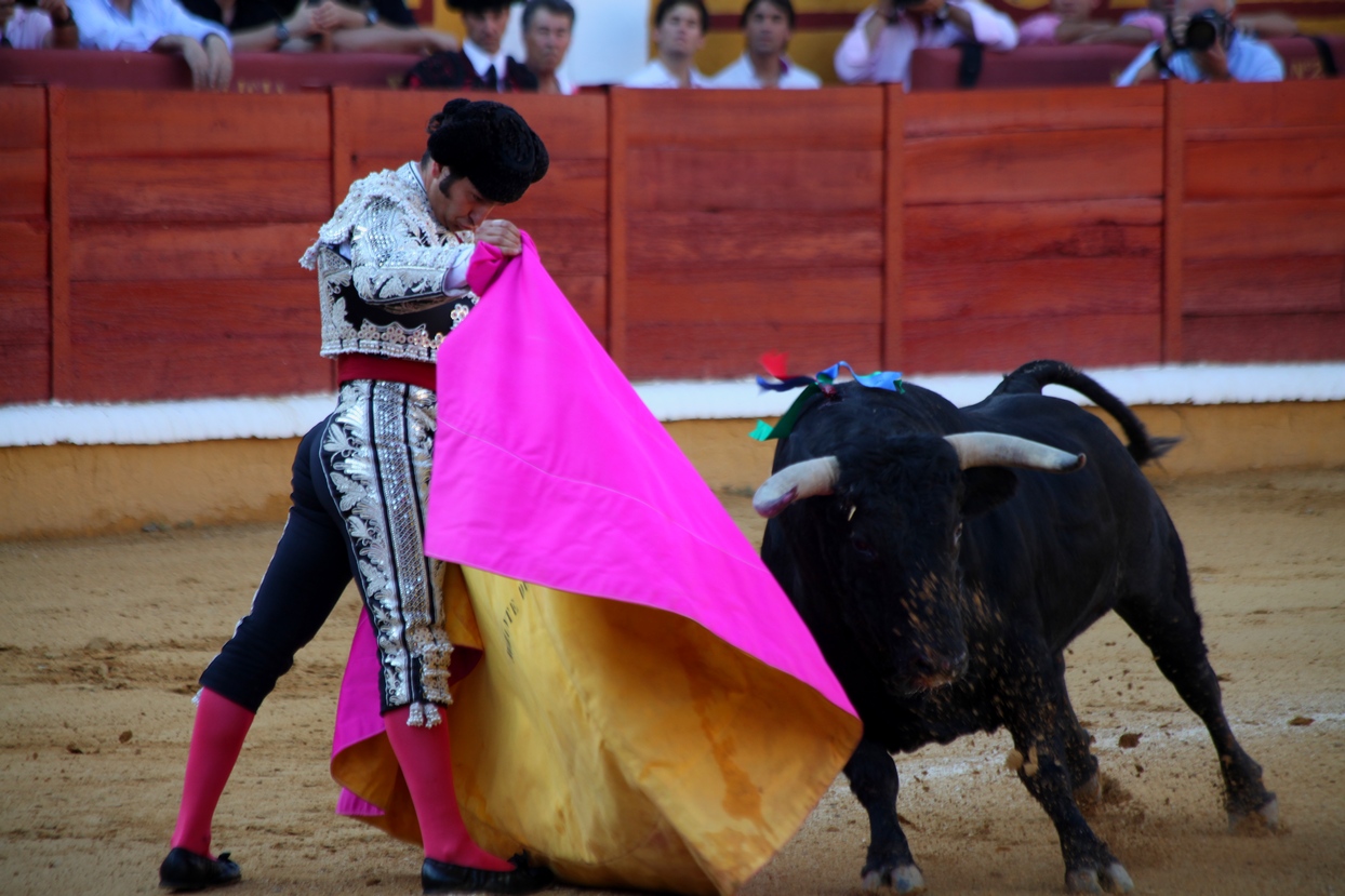 Imágenes de la corrida de Talavante, Perera y Morante en Badajoz Imágenes de la corrida de Talavante, Perera y Morante en Badajoz