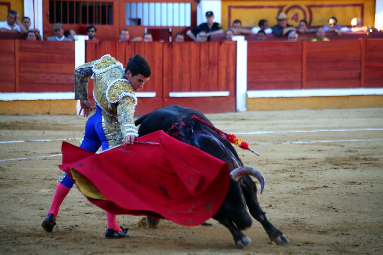 Imágenes de la novillada de la Feria Taurina de Badajoz 2013