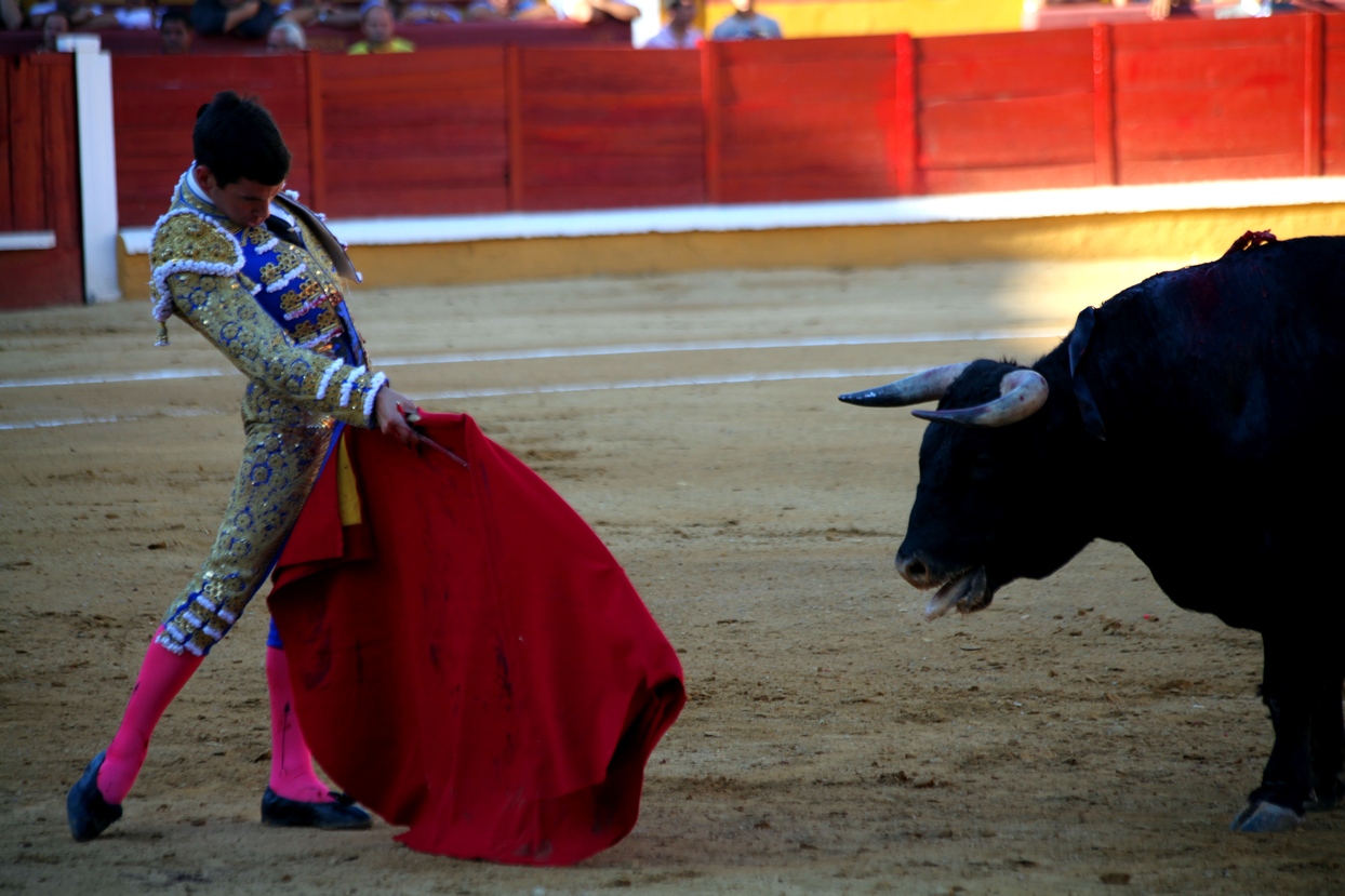 Imágenes de la novillada de la Feria Taurina de Badajoz 2013