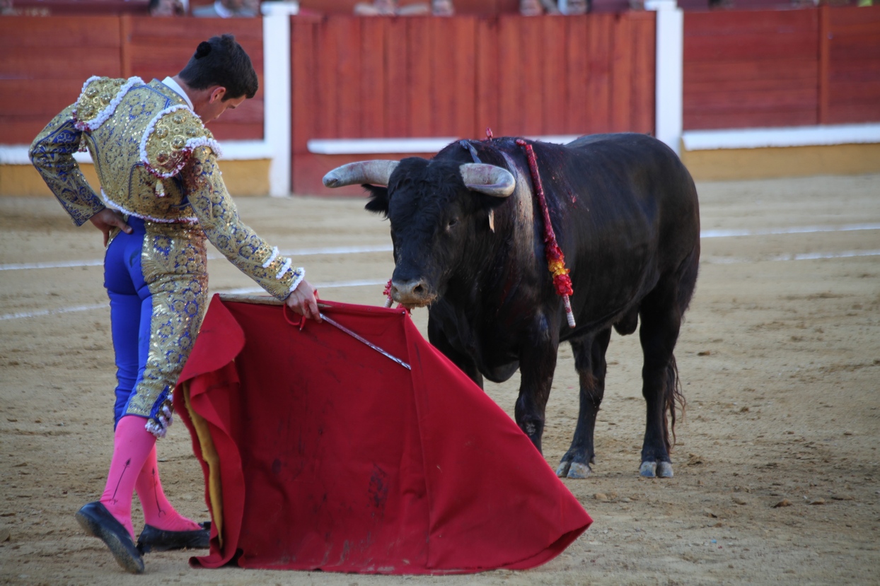 Imágenes de la novillada de la Feria Taurina de Badajoz 2013