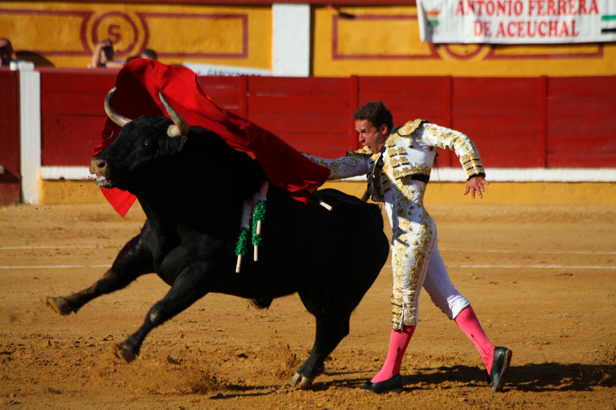 Imágenes de la corrida de El Juli, Manzanares y Ferrera en Badajoz