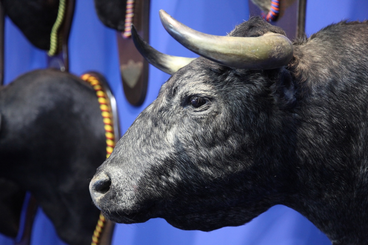 Imágenes de la inauguración de la Feria Ecuextre Badajoz