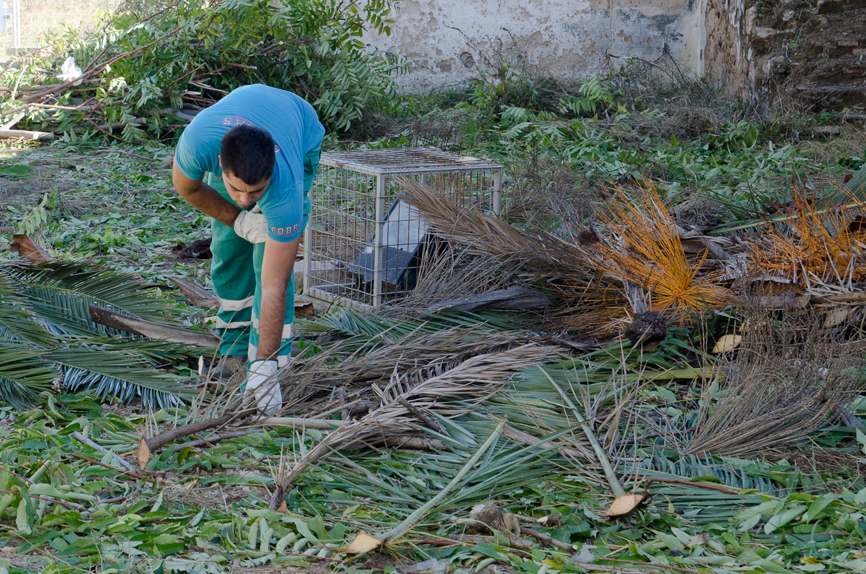 Comienzan las obras en los Jardines de la Galera