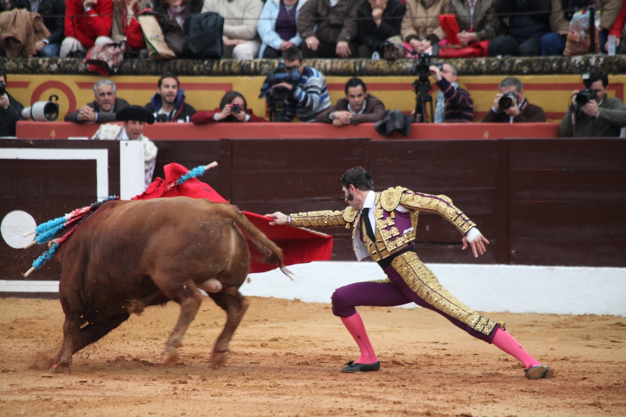 Reportaje fotográfico de la corrida de El Juli, Perera y Padilla en Olivenza