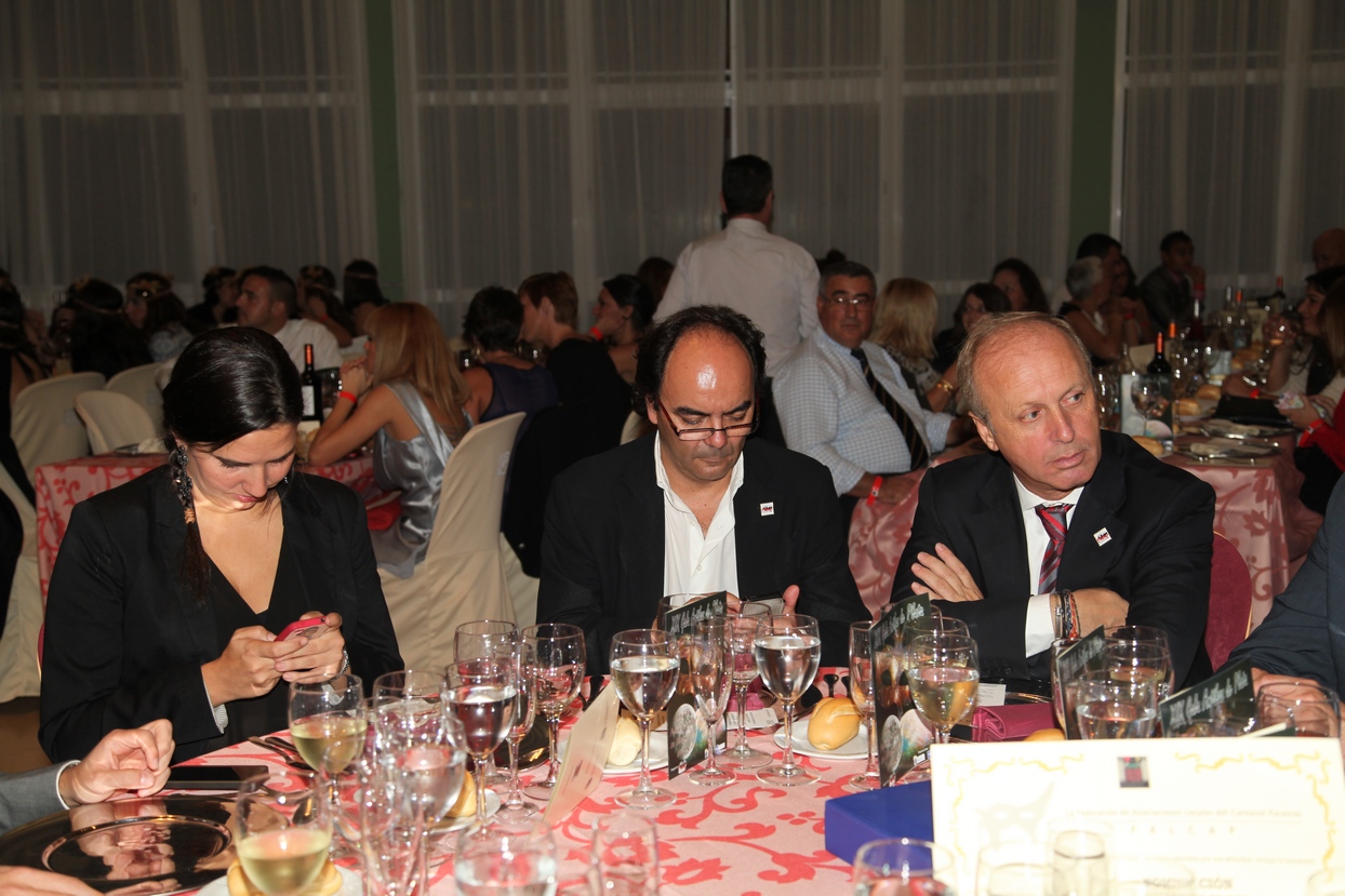 Imágenes de la Gala Antifaz de Plata 2013