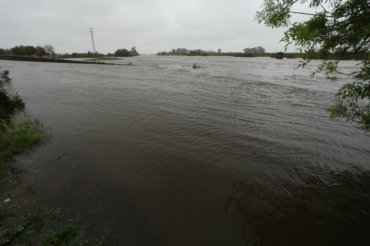 Crecida del río Guadiana a su paso por Badajoz