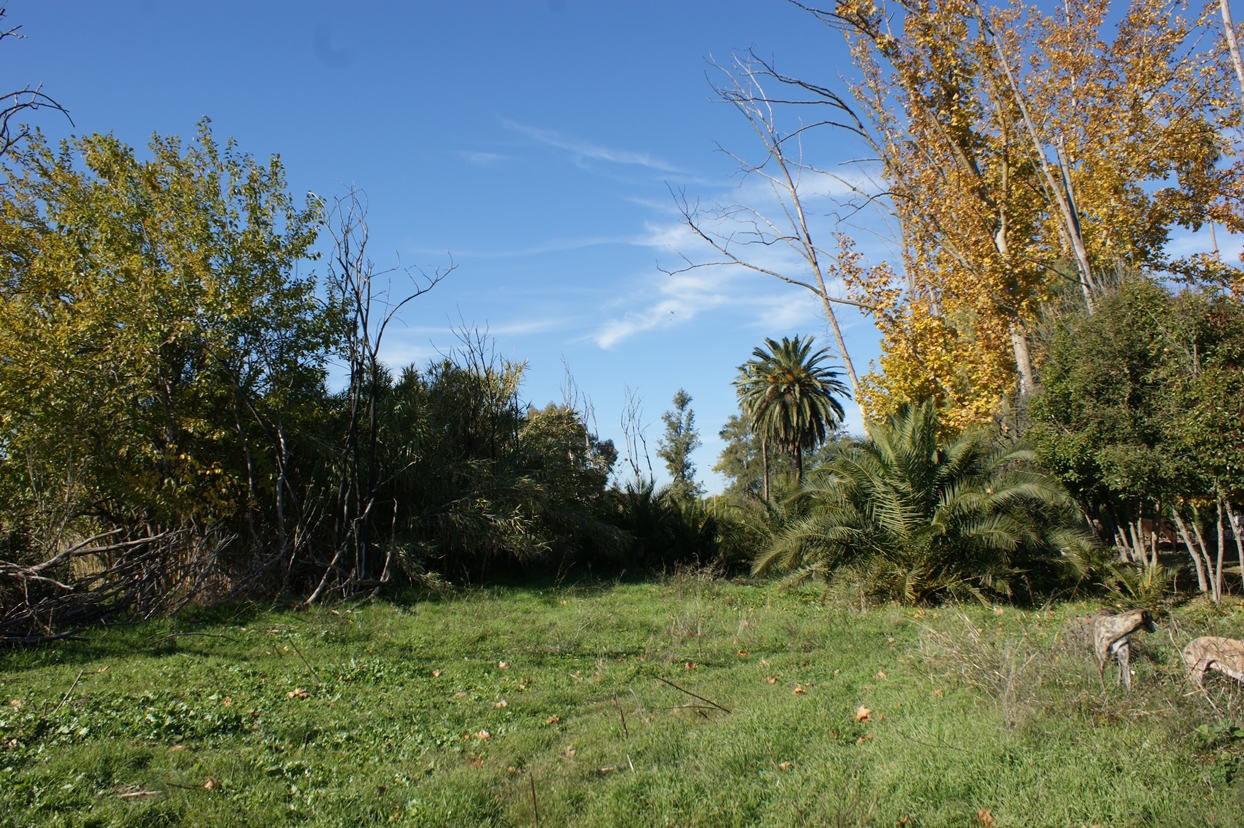 Imágenes en exclusiva del Parque Ascensión de Badajoz