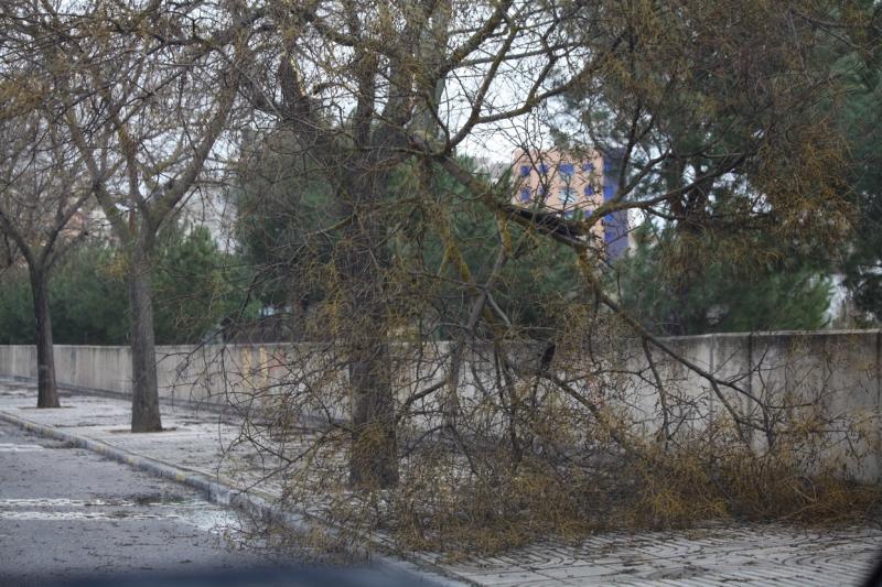 Ciclogénesis explosiva Gong a su paso por Badajoz