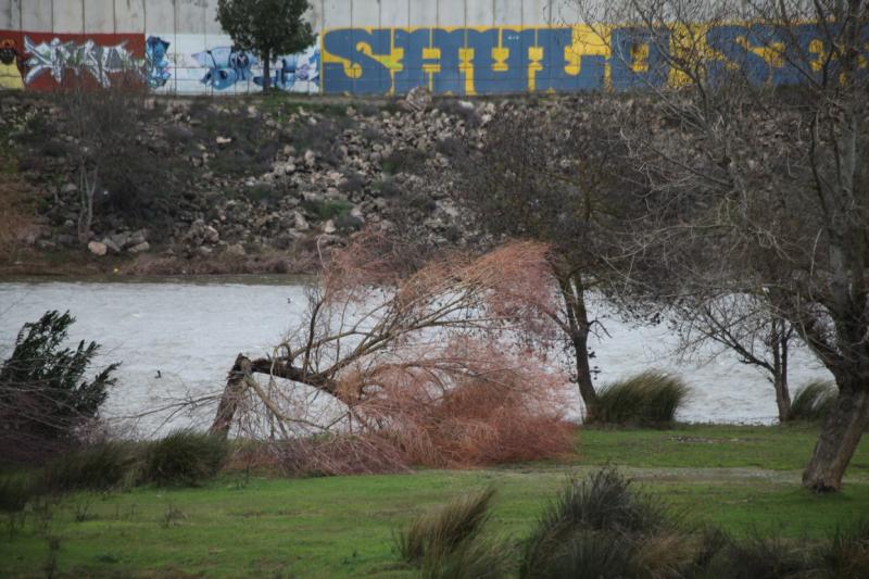 Ciclogénesis explosiva Gong a su paso por Badajoz