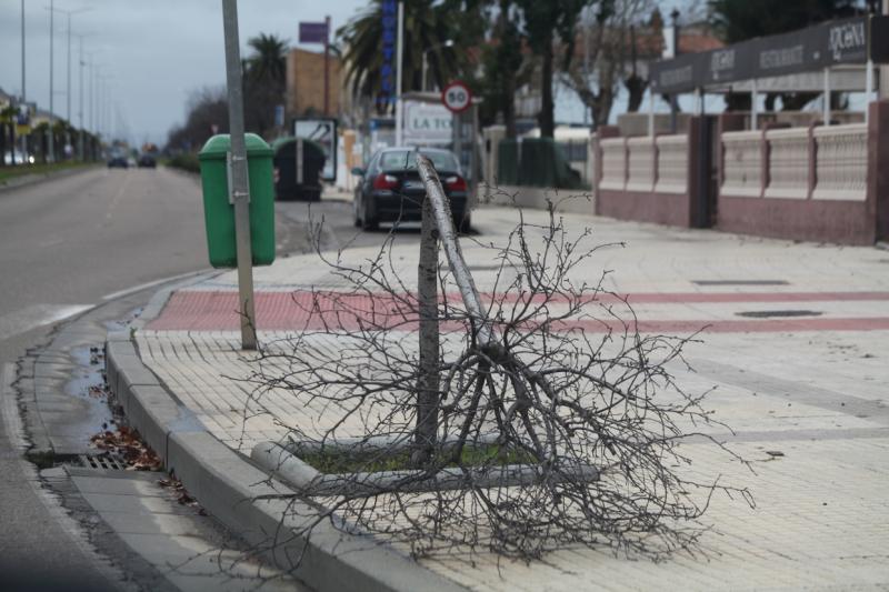 Ciclogénesis explosiva Gong a su paso por Badajoz