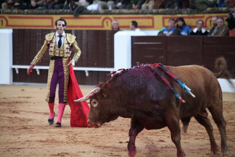 Reportaje fotográfico de la corrida de El Juli, Perera y Padilla en Olivenza