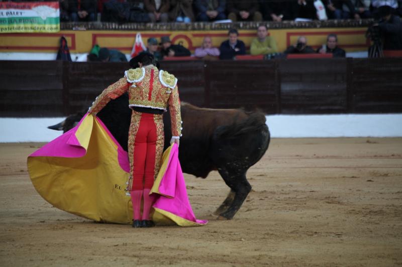 Reportaje fotográfico de la corrida de El Juli, Perera y Padilla en Olivenza