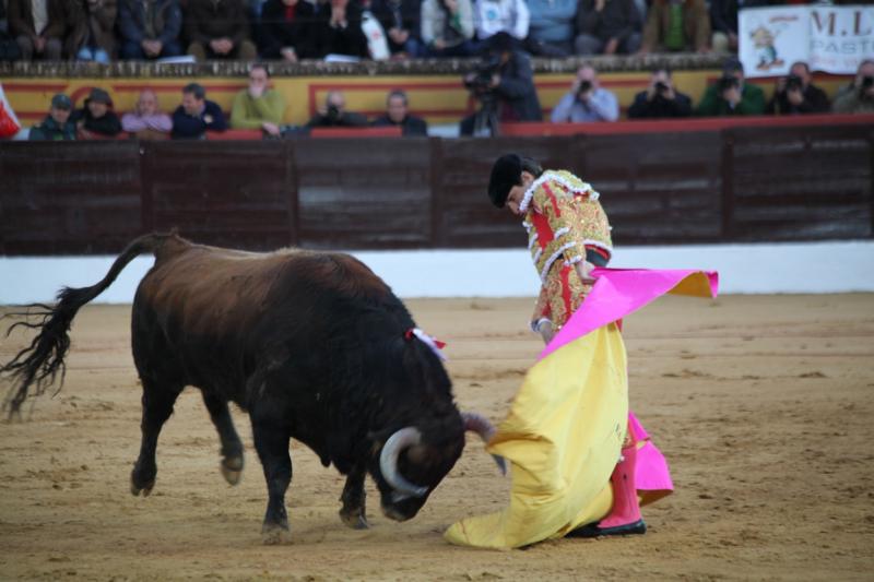 Reportaje fotográfico de la corrida de El Juli, Perera y Padilla en Olivenza