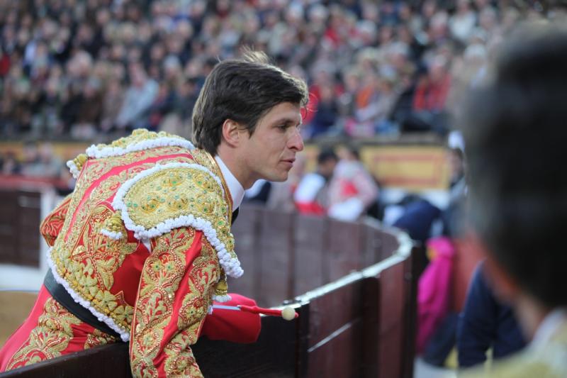 Reportaje fotográfico de la corrida de El Juli, Perera y Padilla en Olivenza