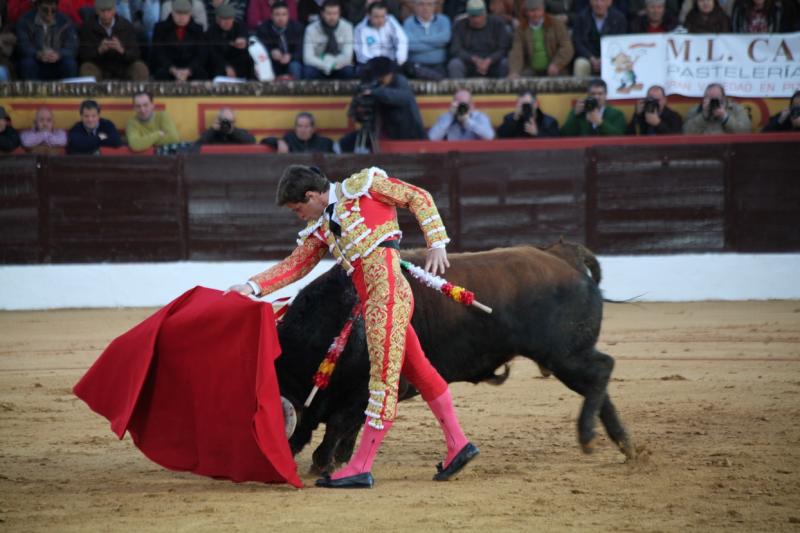 Reportaje fotográfico de la corrida de El Juli, Perera y Padilla en Olivenza