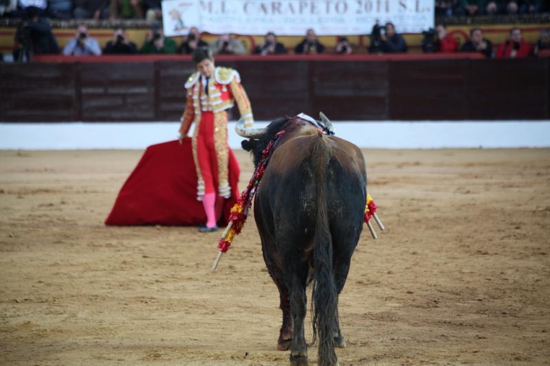 Reportaje fotográfico de la corrida de El Juli, Perera y Padilla en Olivenza