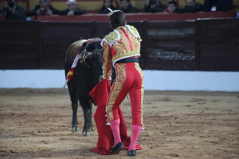 Reportaje fotográfico de la corrida de El Juli, Perera y Padilla en Olivenza