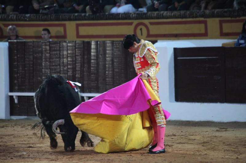 Reportaje fotográfico de la corrida de El Juli, Perera y Padilla en Olivenza