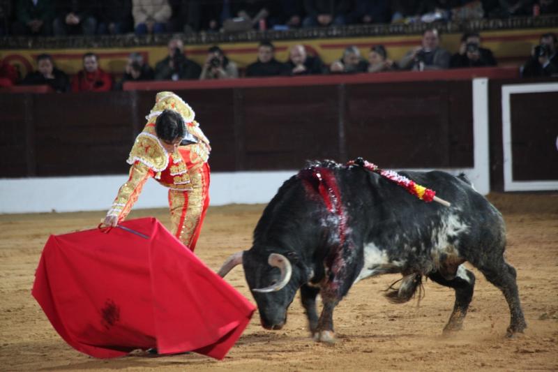 Reportaje fotográfico de la corrida de El Juli, Perera y Padilla en Olivenza