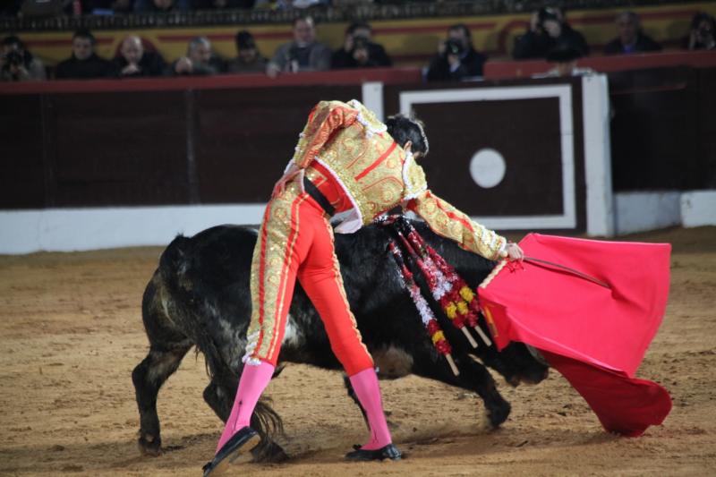 Reportaje fotográfico de la corrida de El Juli, Perera y Padilla en Olivenza