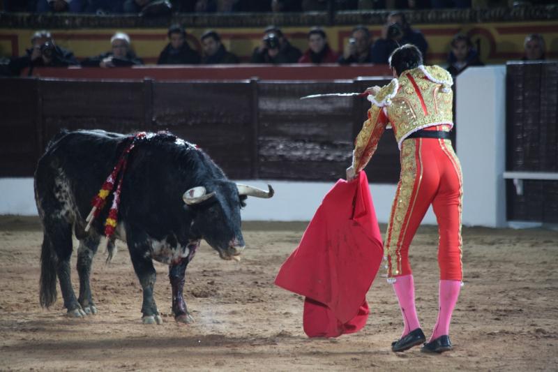 Reportaje fotográfico de la corrida de El Juli, Perera y Padilla en Olivenza