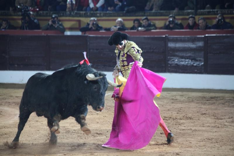 Reportaje fotográfico de la corrida de El Juli, Perera y Padilla en Olivenza