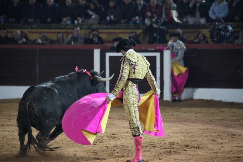 Reportaje fotográfico de la corrida de El Juli, Perera y Padilla en Olivenza