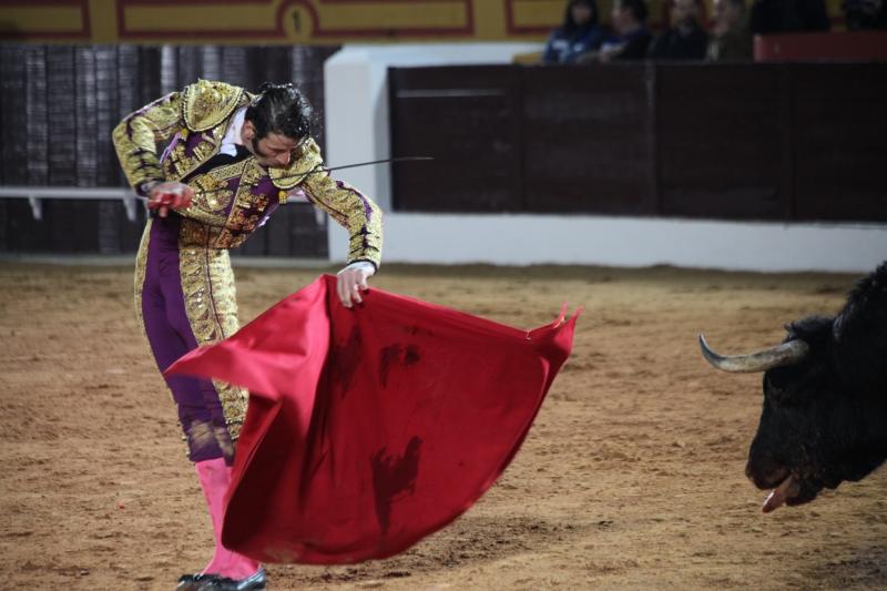 Reportaje fotográfico de la corrida de El Juli, Perera y Padilla en Olivenza