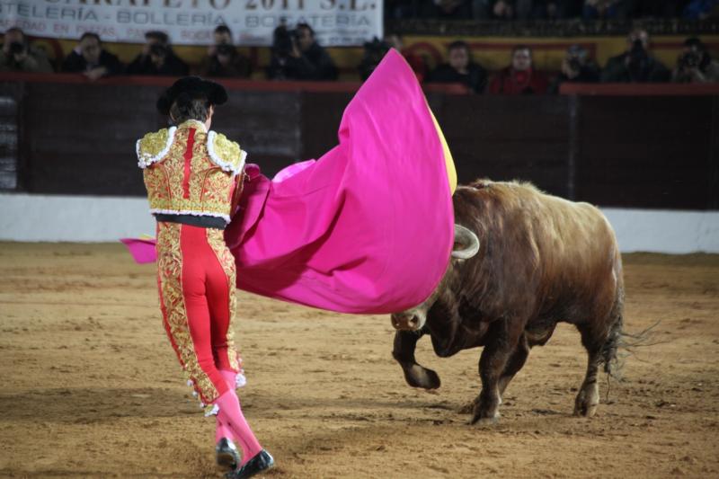 Reportaje fotográfico de la corrida de El Juli, Perera y Padilla en Olivenza