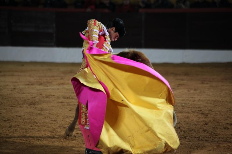 Reportaje fotográfico de la corrida de El Juli, Perera y Padilla en Olivenza